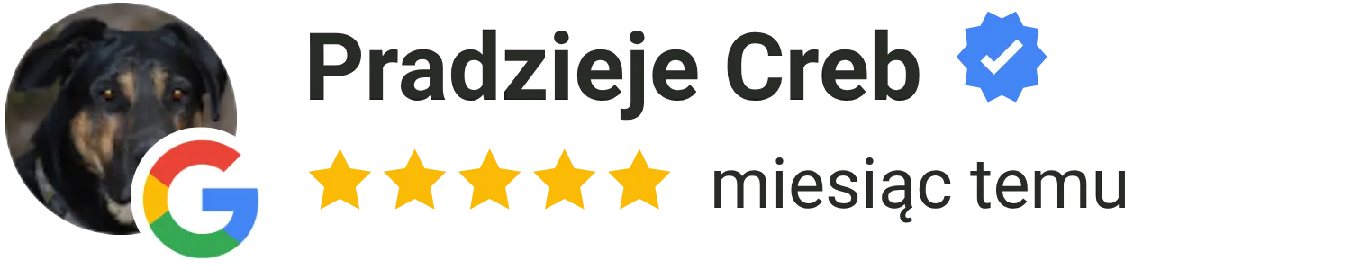 Pozytywna opinia klienta o terapii online w Emotely – 5 gwiazdek Google